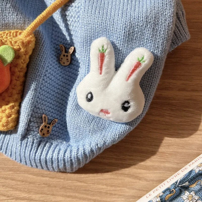 Blue Rabbit Pet Winter Warm Teddy Sweater