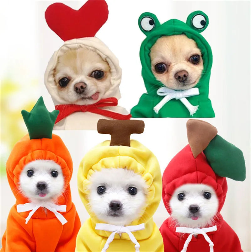 Cute Fruit Dog Clothes for Small Dogs Hoodies Warm Fleece Pet Clothing Puppy Cat Costume Coat for Puppy Small Medium Dogs Cats